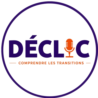 Déclic, comprendre les transitions